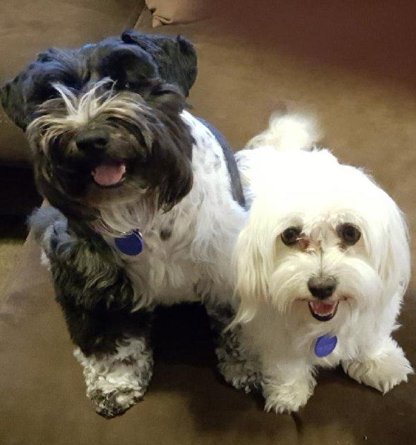 Gizem Koç review photo