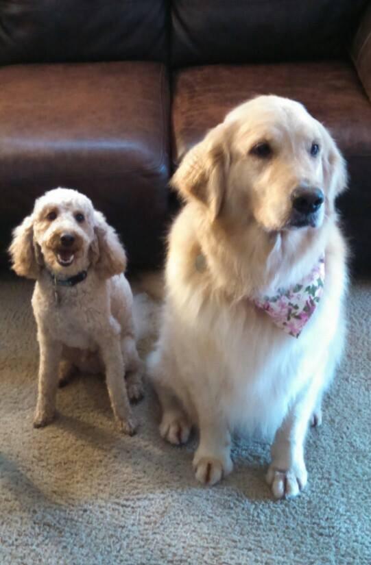 Zeliha Tanrıverdi review photo