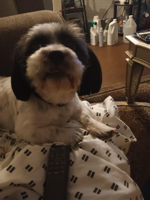 Elif K., İstanbul review photo