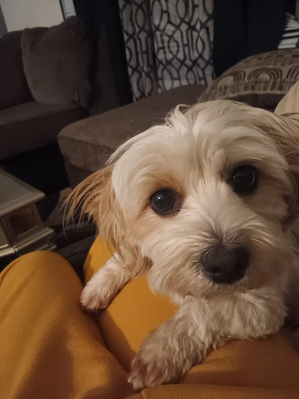 Esma R., Bursa review photo