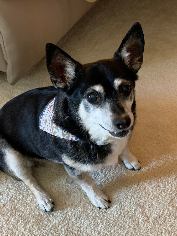 Melis A. review photo