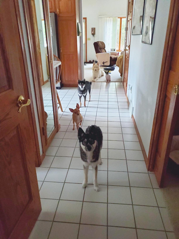 Doğa Ç. review photo