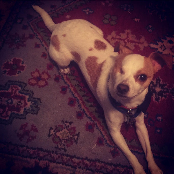 Mehmet Yıldız review photo