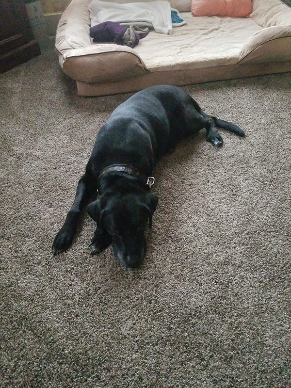 Mehmet T., Ankara review photo