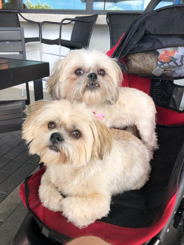 Murat Aksoy review photo