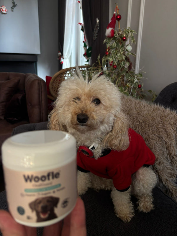 Zeynep Kaya, İstanbul review photo