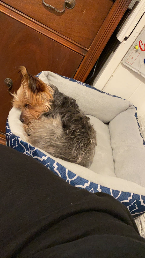 Zeynep Demir review photo