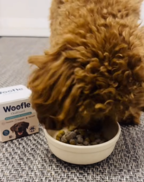 Gülçin Demir, İzmir review photo