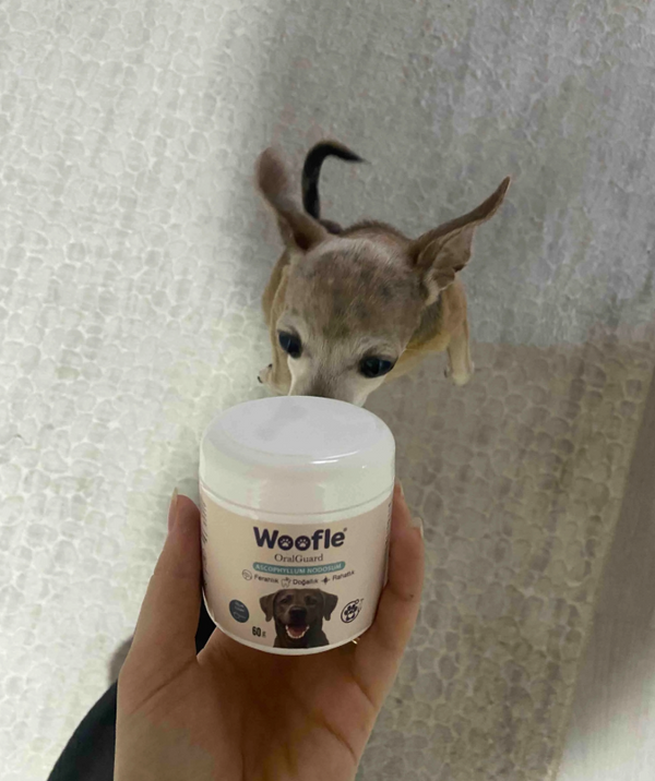 Canan Özkul, Adana review photo