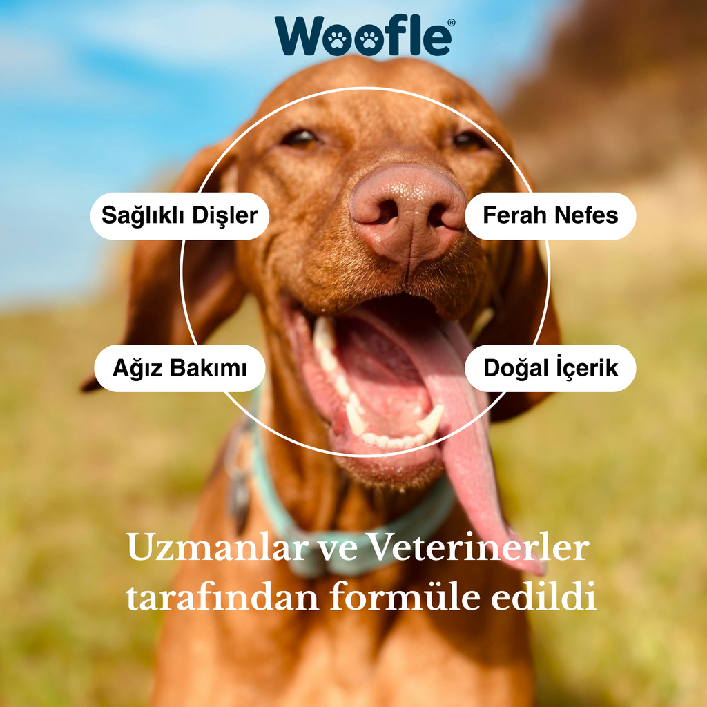 Woofle® OralGuard- Köpek Ağız ve Diş Bakım Tozu 60g - Plak, Tartar ve Koku Karşıtı Gelişmiş Formül