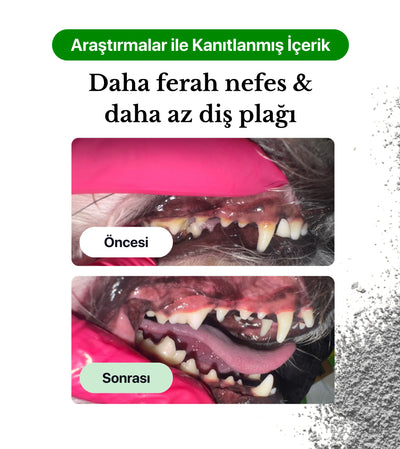 Woofle OralGuard – Köpekler İçin Ağız ve Diş Bakım Tozu