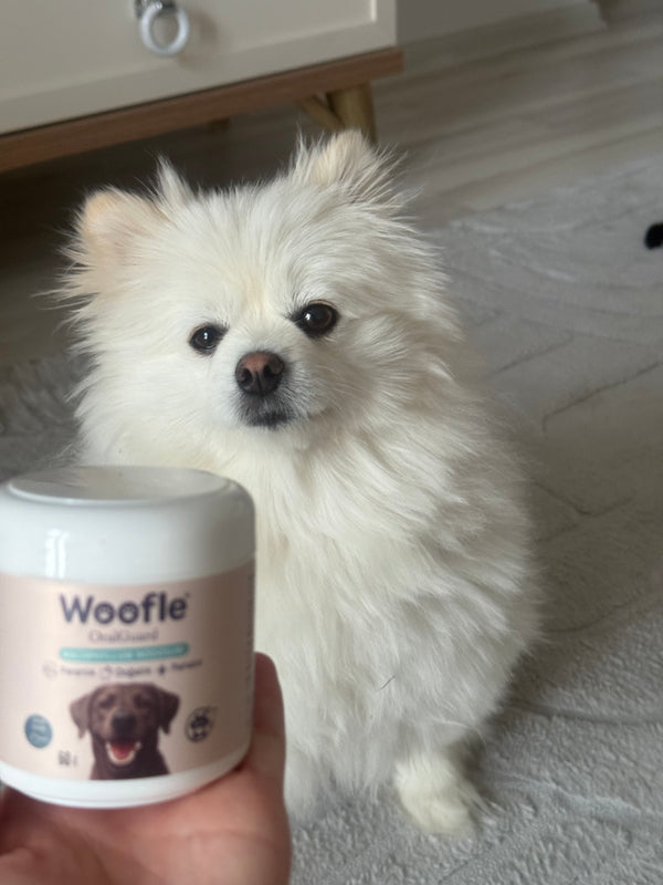 Buse Teksöz, Ankara review photo